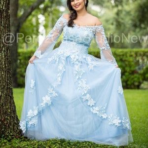 Ball Gown Quinceanera Dresses Beaded Pageant Prom Party Sweet 16 Dress
